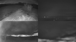 Sdružený snímek Bludný