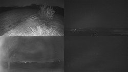 Sdružený snímek Bludný