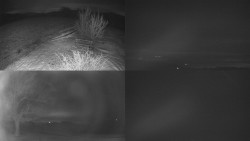 Sdružený snímek Bludný