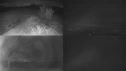 Sdružený snímek Bludný