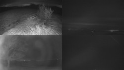 Sdružený snímek Bludný