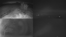 Sdružený snímek Bludný