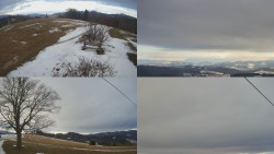 Sdružený snímek Bludný