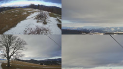 Sdružený snímek Bludný