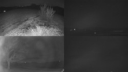 Sdružený snímek Bludný