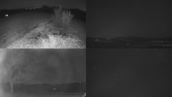 Sdružený snímek Bludný