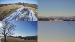 Sdružený snímek Bludný