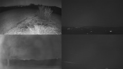 Sdružený snímek Bludný