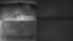 Sdružený snímek Bludný