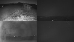 Sdružený snímek Bludný