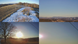 Sdružený snímek Bludný