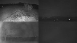 Sdružený snímek Bludný