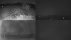 Sdružený snímek Bludný