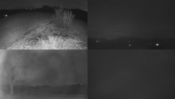 Sdružený snímek Bludný