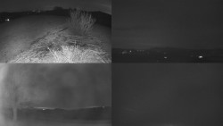 Sdružený snímek Bludný