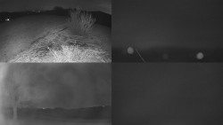 Sdružený snímek Bludný