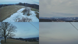 Sdružený snímek Bludný