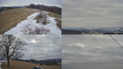 Sdružený snímek Bludný