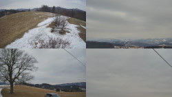 Sdružený snímek Bludný