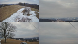 Sdružený snímek Bludný