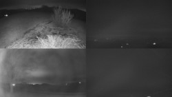 Sdružený snímek Bludný