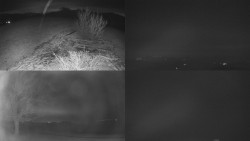 Sdružený snímek Bludný