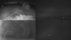 Sdružený snímek Bludný