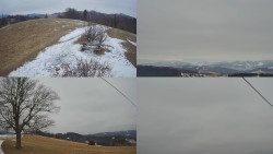 Sdružený snímek Bludný