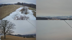 Sdružený snímek Bludný