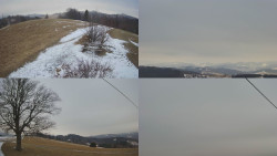 Sdružený snímek Bludný