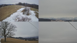 Sdružený snímek Bludný