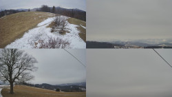 Sdružený snímek Bludný