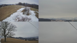 Sdružený snímek Bludný