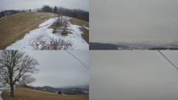 Sdružený snímek Bludný