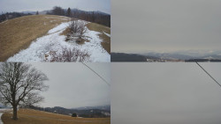 Sdružený snímek Bludný