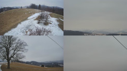 Sdružený snímek Bludný