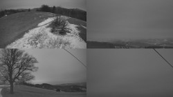 Sdružený snímek Bludný