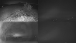 Sdružený snímek Bludný