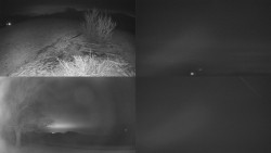 Sdružený snímek Bludný