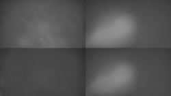 Sdružený snímek Bludný