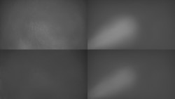 Sdružený snímek Bludný