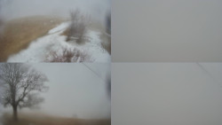 Sdružený snímek Bludný