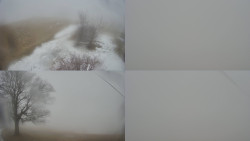 Sdružený snímek Bludný