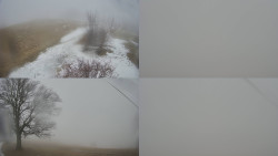 Sdružený snímek Bludný