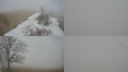 Sdružený snímek Bludný