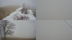 Sdružený snímek Bludný