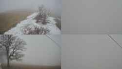 Sdružený snímek Bludný