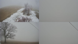 Sdružený snímek Bludný