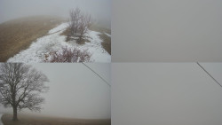 Sdružený snímek Bludný