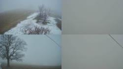 Sdružený snímek Bludný